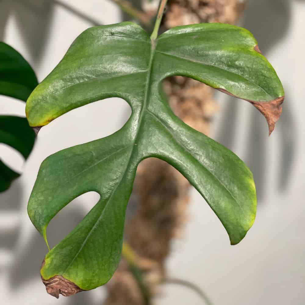 Low Humidity & Dry Air 1